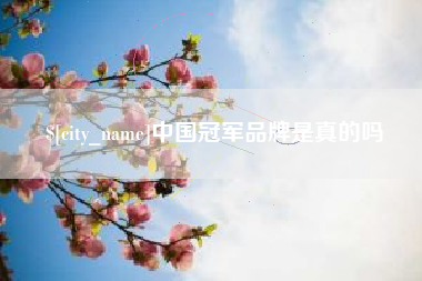吴忠中国冠军品牌是真的吗