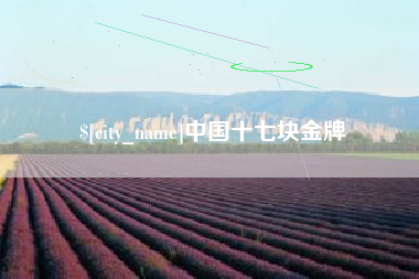 吴忠中国十七块金牌