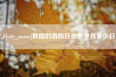 吴忠我国的消防日是多少月多少日