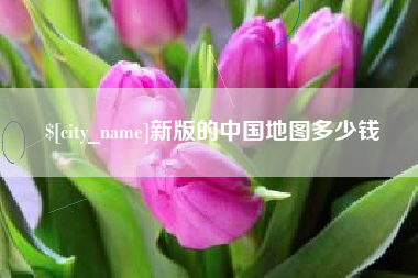 吴忠新版的中国地图多少钱