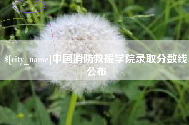 吴忠中国消防救援学院录取分数线公布