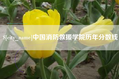 吴忠中国消防救援学院历年分数线