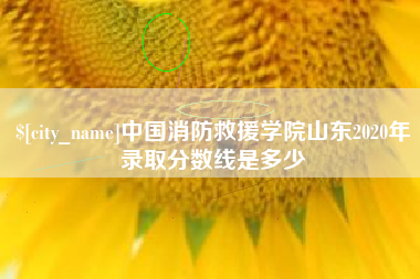 吴忠中国消防救援学院山东2020年录取分数线是多少