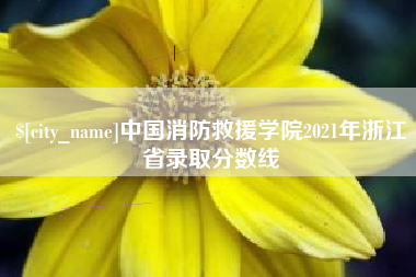 吴忠中国消防救援学院2021年浙江省录取分数线