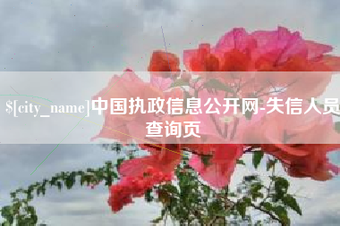 吴忠中国执政信息公开网-失信人员查询页