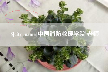 吴忠中国消防救援学院 老师