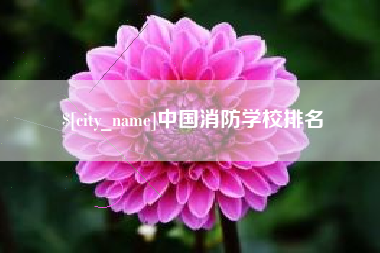 吴忠中国消防学校排名
