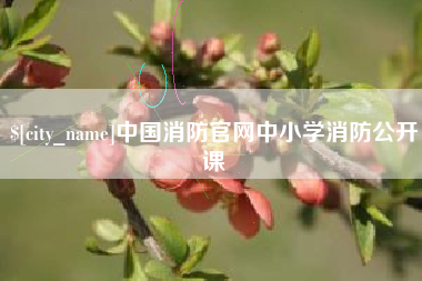 吴忠中国消防官网中小学消防公开课
