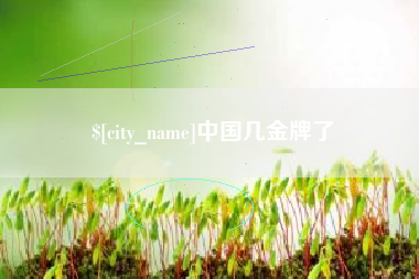 吴忠中国几金牌了