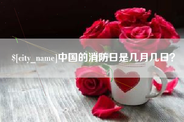 吴忠中国的消防日是几月几日？