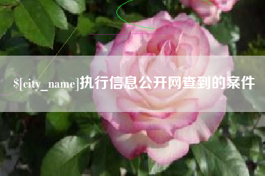 吴忠执行信息公开网查到的案件