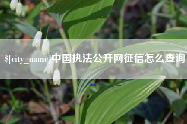 吴忠中国执法公开网征信怎么查询