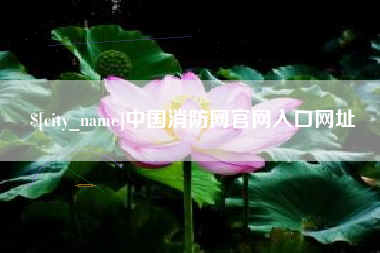 吴忠中国消防网官网入口网址