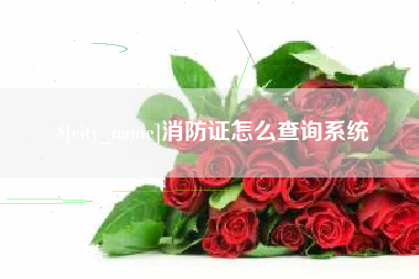 吴忠消防证怎么查询系统