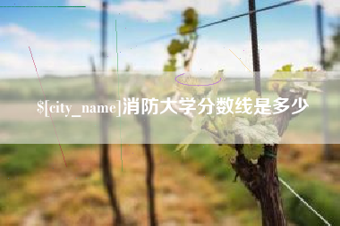 吴忠消防大学分数线是多少