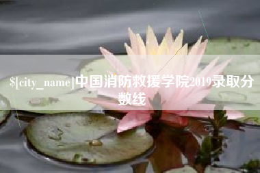 吴忠中国消防救援学院2019录取分数线