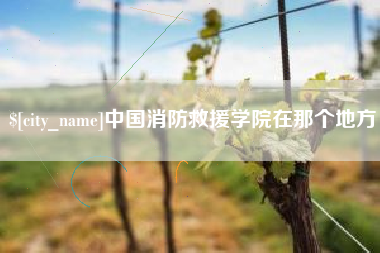 吴忠中国消防救援学院在那个地方