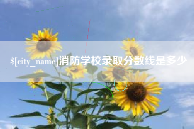 吴忠消防学校录取分数线是多少