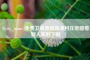 吴忠免费卫星地图高清村庄地图看到人实时下载