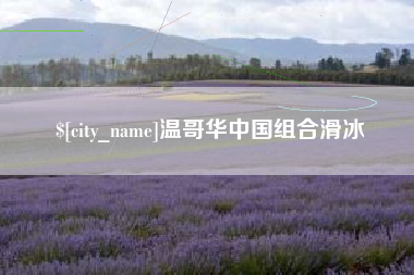 吴忠温哥华中国组合滑冰