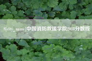 吴忠中国消防救援学院2018分数线
