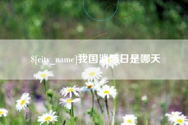 吴忠我国消防日是哪天