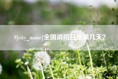 吴忠全国消防日是第几天？