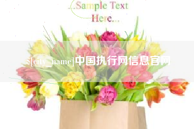吴忠中国执行网信息官网