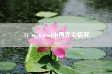 吴忠中国夺金情况