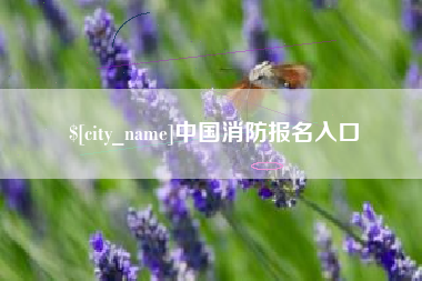吴忠中国消防报名入口