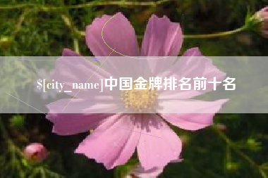 吴忠中国金牌排名前十名