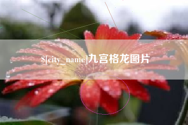 吴忠九宫格龙图片
