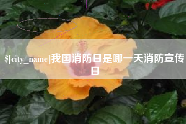 吴忠我国消防日是哪一天消防宣传日