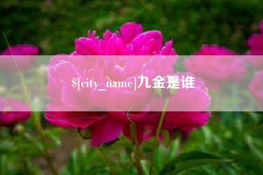 吴忠九金是谁