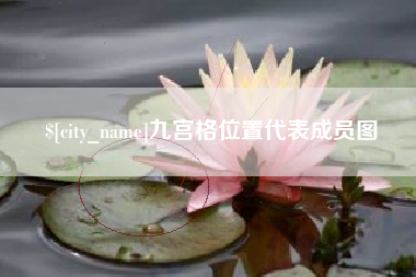 吴忠九宫格位置代表成员图