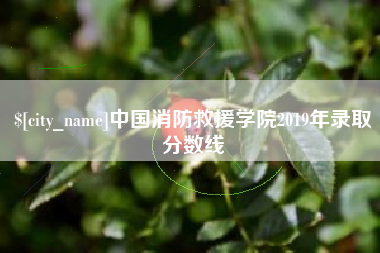 吴忠中国消防救援学院2019年录取分数线