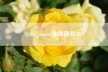 吴忠金牌图片2021