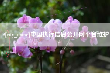 吴忠中国执行信息公开网平台维护