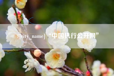 吴忠“中国执行公开网”