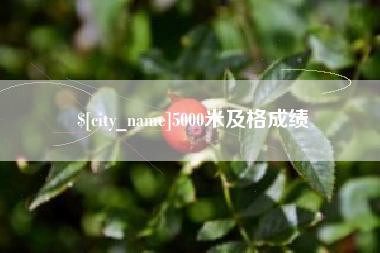 吴忠5000米及格成绩