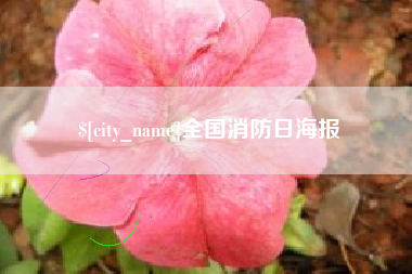 吴忠全国消防日海报