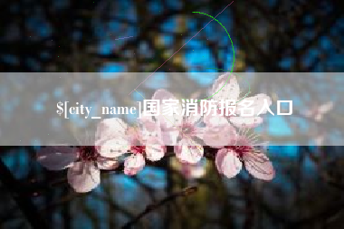 吴忠国家消防报名入口