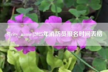 吴忠2025年消防员报名时间表格