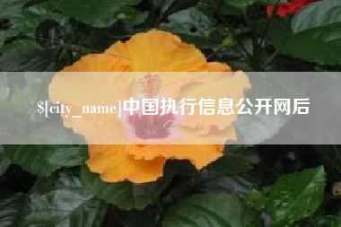 吴忠中国执行信息公开网后
