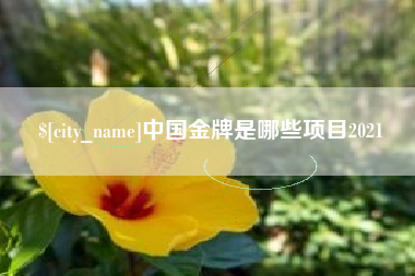 吴忠中国金牌是哪些项目2021