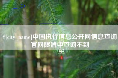 吴忠中国执行信息公开网信息查询官网限消中查询不到