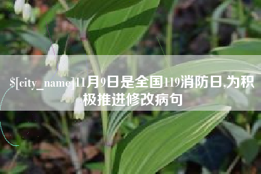 吴忠11月9日是全国119消防日,为积极推进修改病句