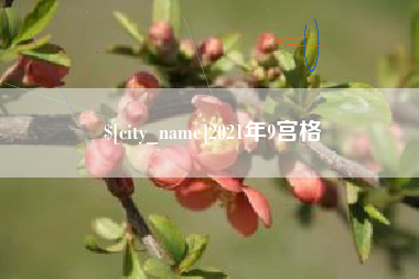 吴忠2021年9宫格