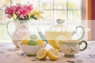 吴忠中国消防救援学院分数2020