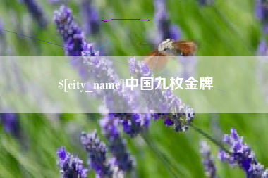 吴忠中国九枚金牌
